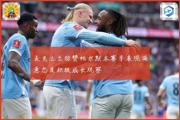 麦克法兰称赞帕尔默本赛季表现满意态度积极成长观察